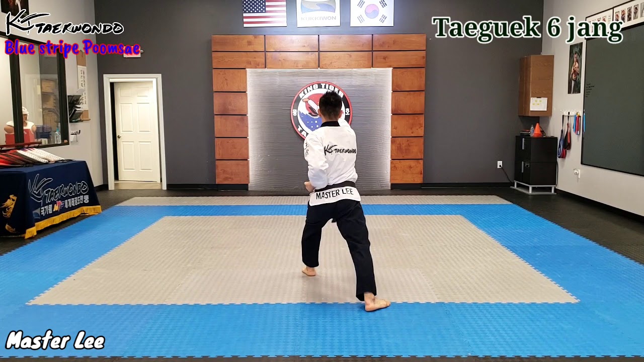 Taeguek 6 jang (KT Tarkwondo Blue stripe Poomsae)