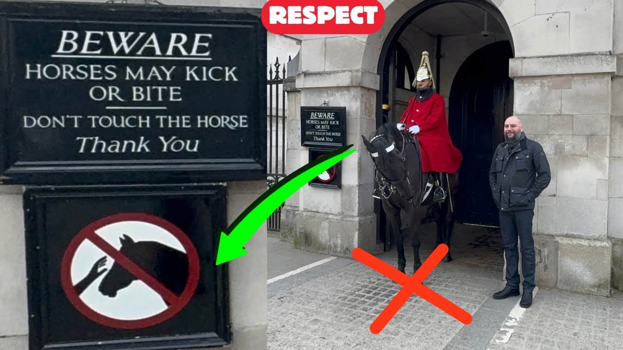 ⚠️Beware: Horse May Kick or Bite – Don’t Touch and Don’t Cross the White Line 