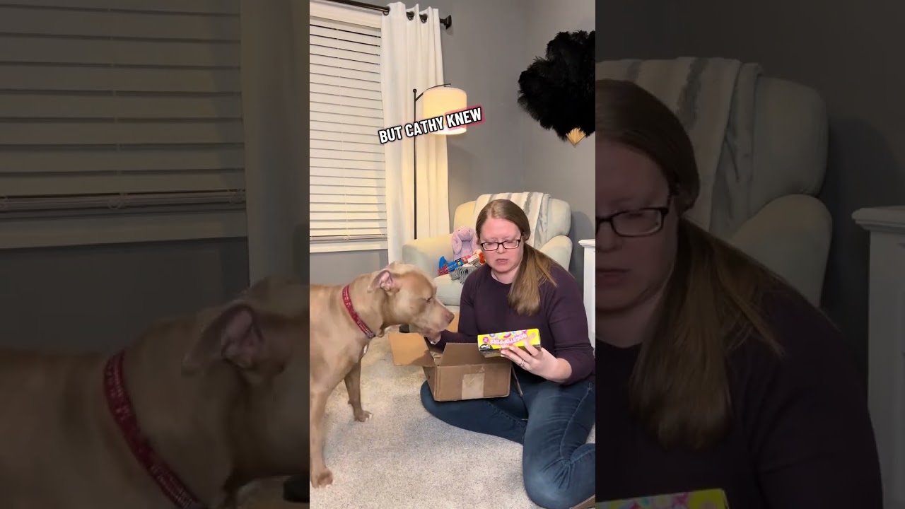 Cash was sent his very own Mystery Box from one of our sweet followers Cathy