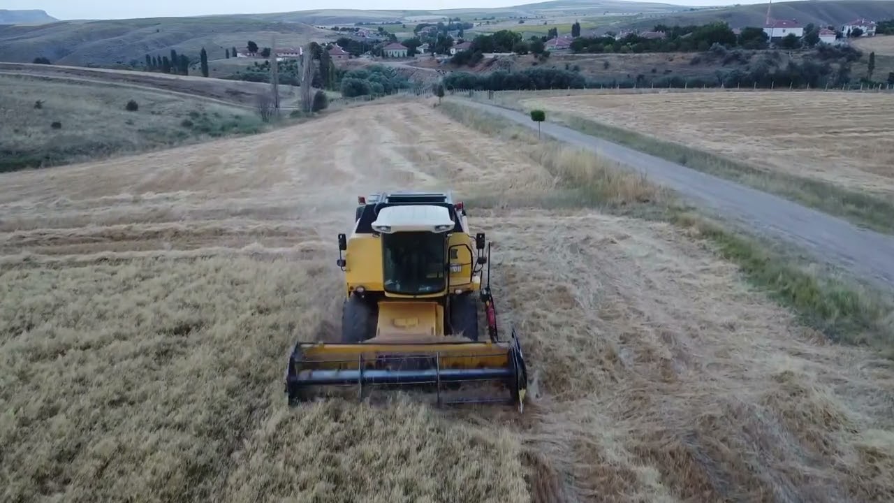 Dulkadirli Karaisa köyü 2023 Baba otagı kısa video Biçer döver.
