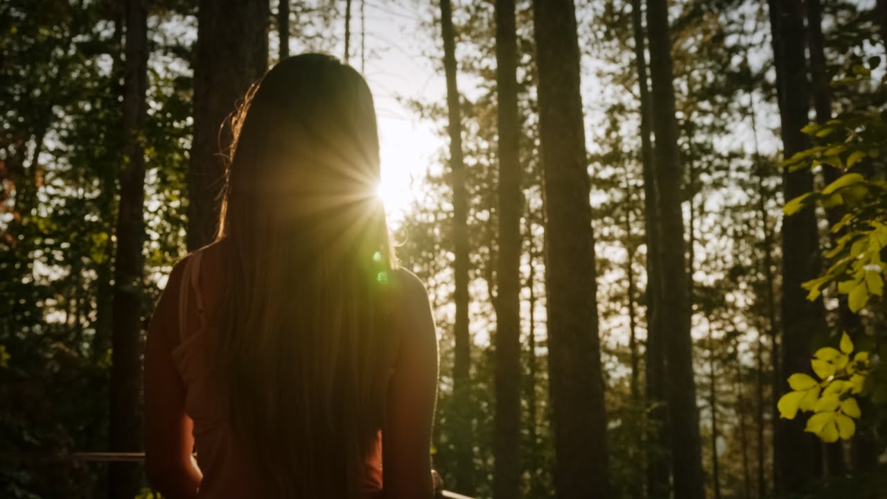 BMPCC6K Footage BRAW - Short Film || BUTTERY LUTs
