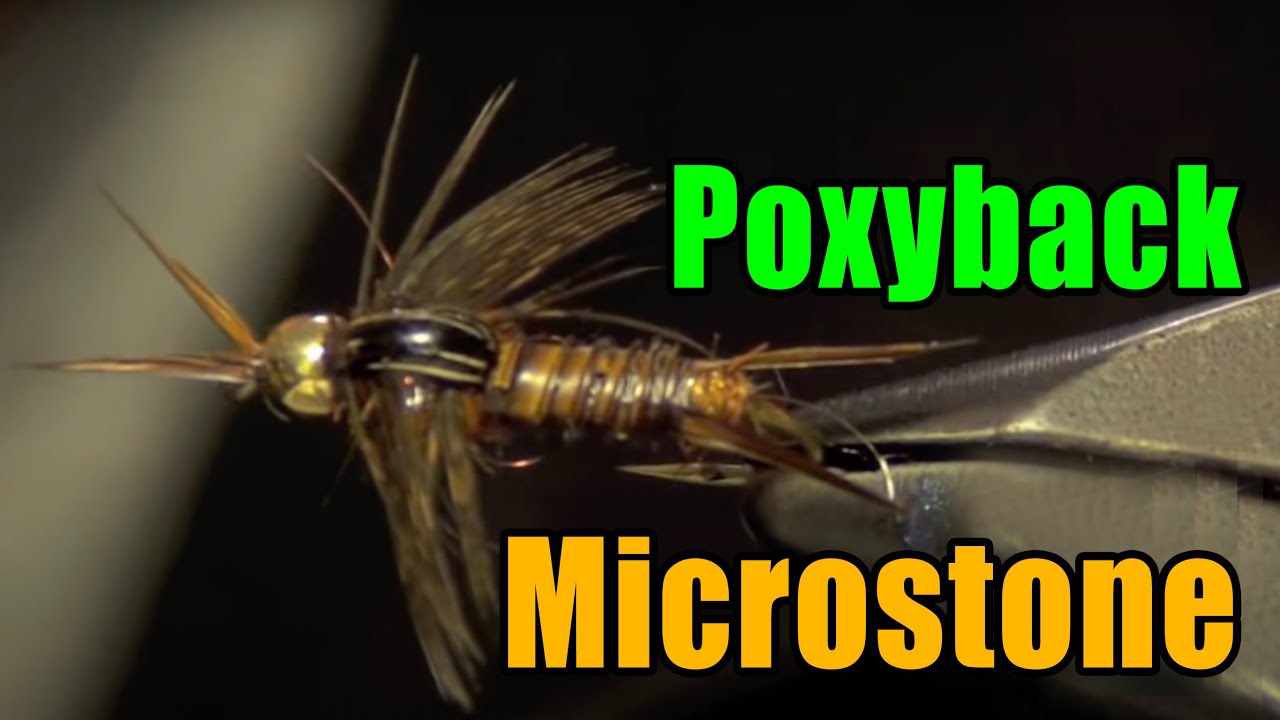 Poxyback Microstone Stonefly Nymph Fly Tying - Mike Mercer Fly Pattern