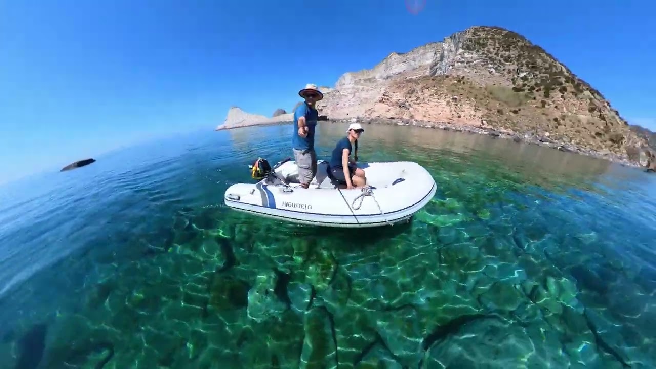Isola di Palmarola 🌴🌴🌴