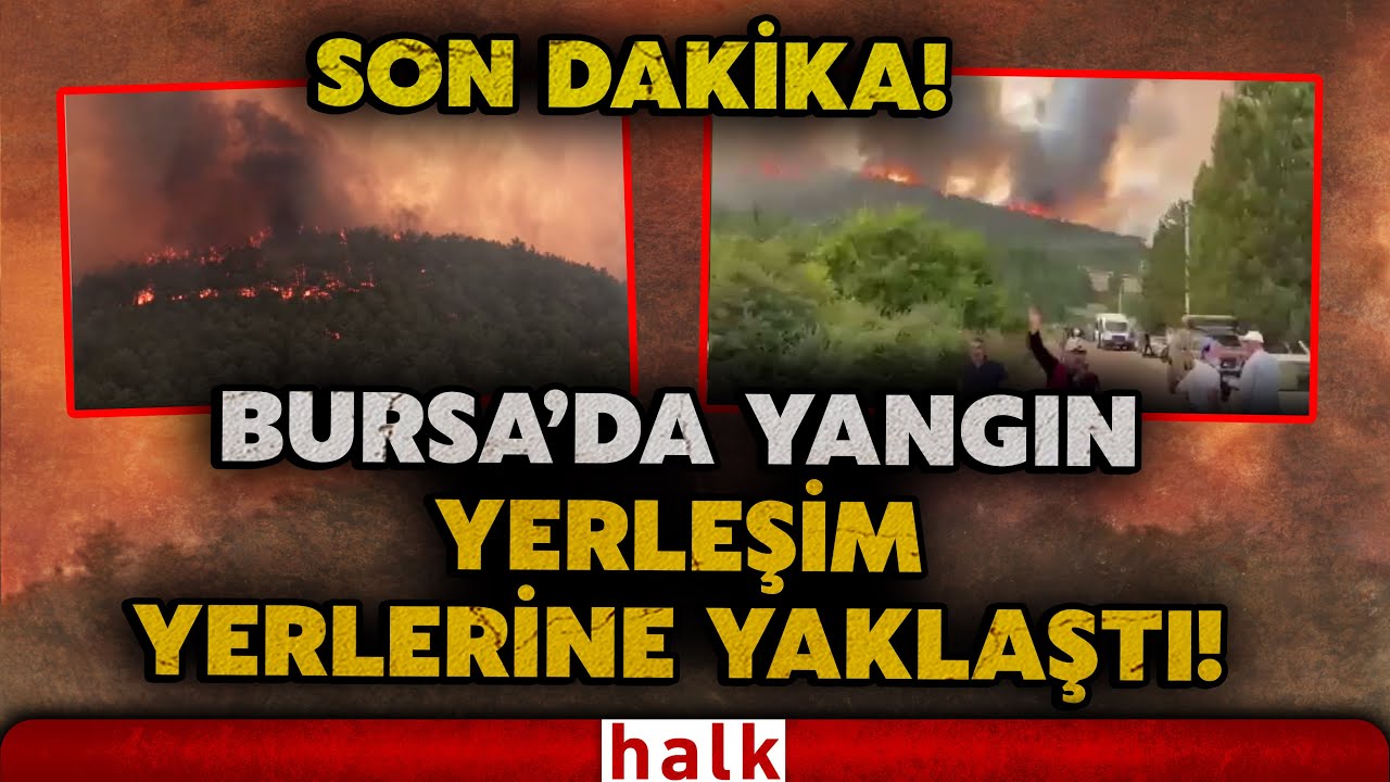 KORKUTAN DAKİKALAR! Bursa'daki orman yangınında alevler yerleşim yerlerine kadar geldi!