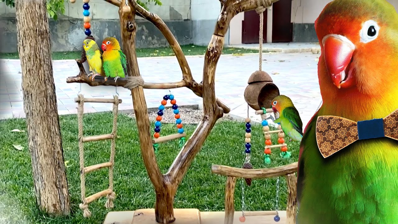 Мы создали лучшую игровую площадку для влюбленных!