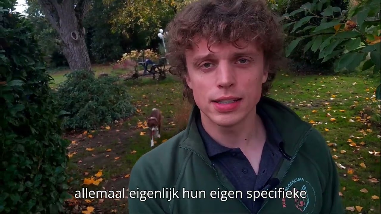 Dat wat iedereen mist waardoor veel honden getraumatiseerd raken. De natuurlijke rol van je hond!