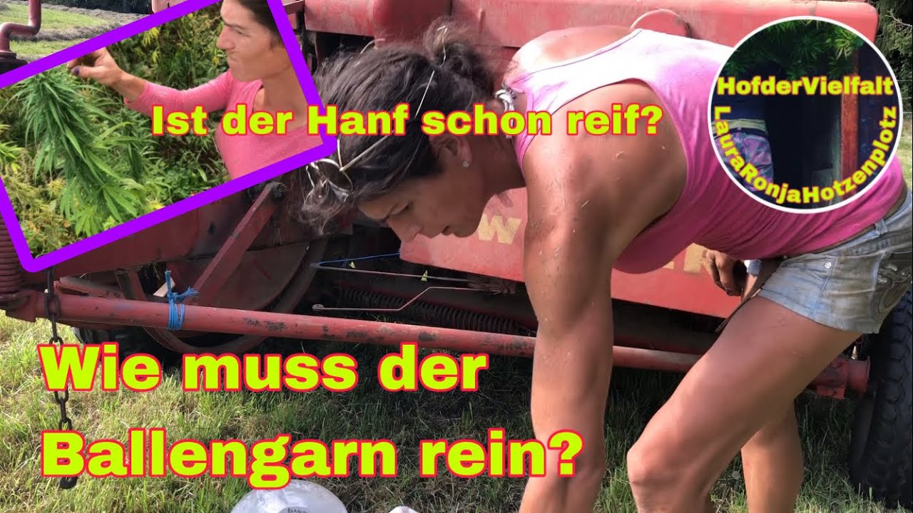 Welger ap51 - zweiten Schnitt pressen | DIY Möbel | Getreide bunkern | Gemüsegarten | Farmvlog