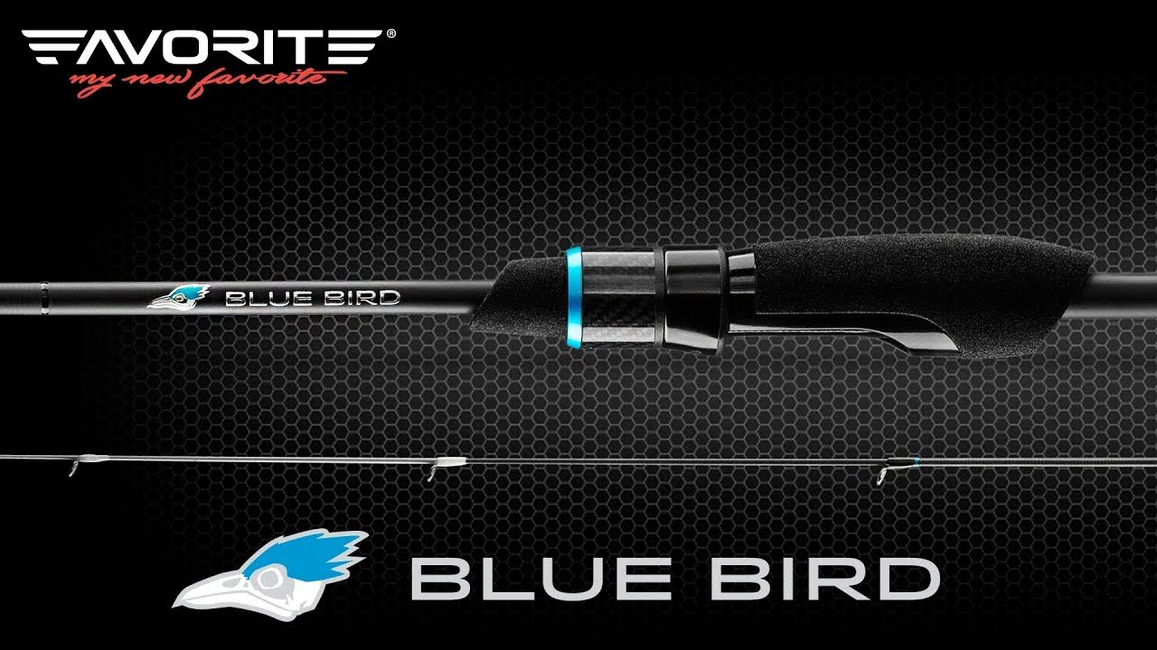 Przegląd serii wędek spinningowych Favorite Blue Bird