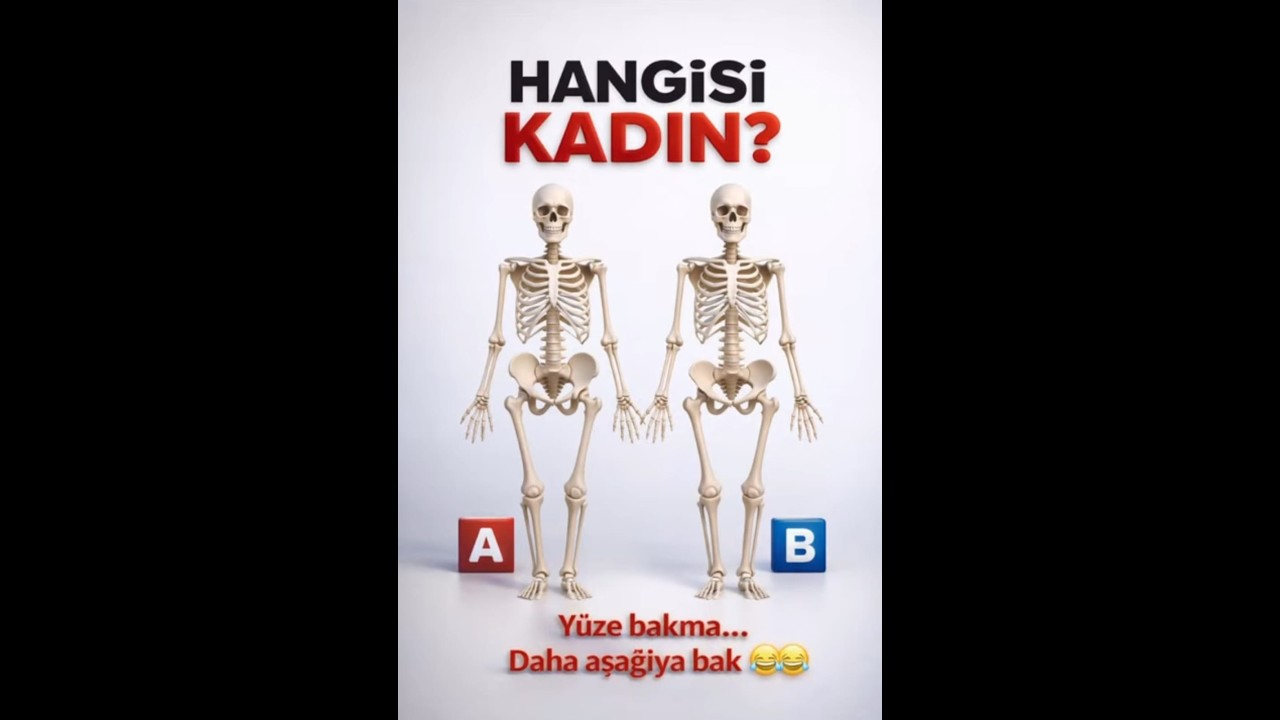 zeka testi yayını bilene ödül #6