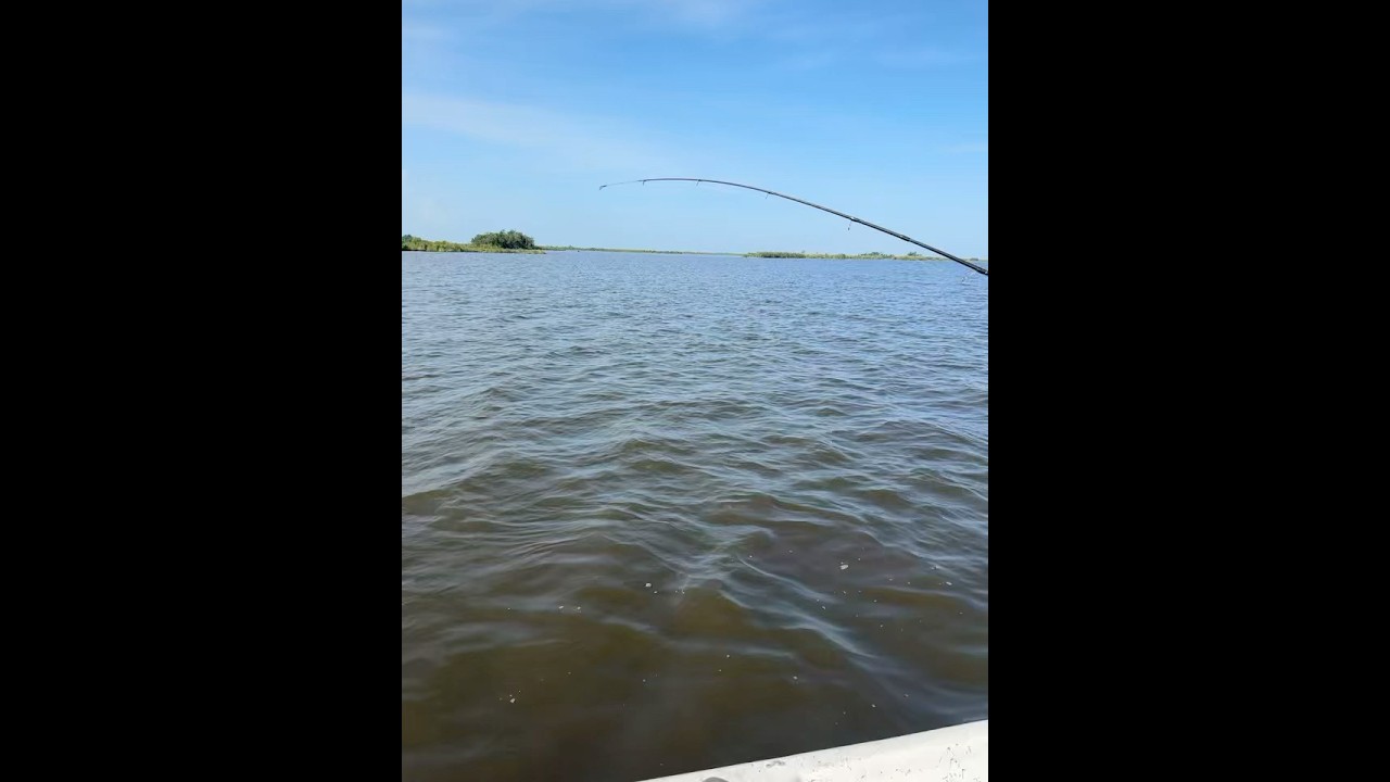 #redfish