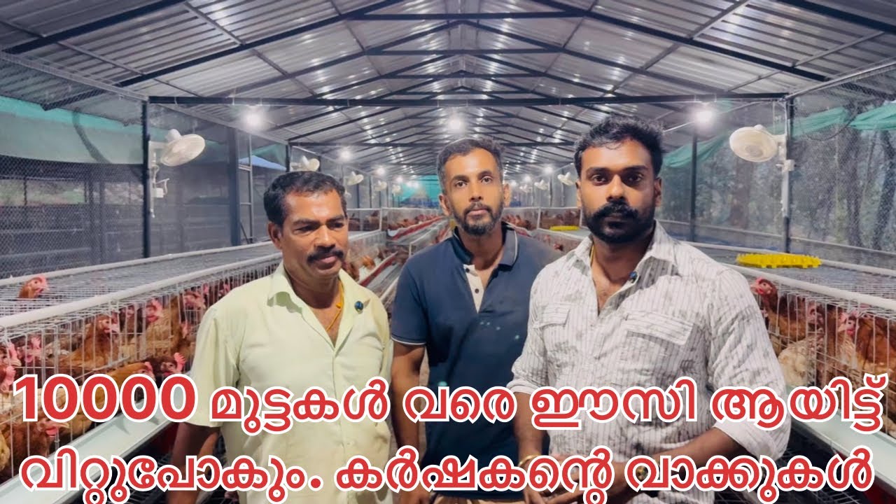 BV380 Hi-Tech farm മാർക്കറ്റിൽ മുട്ട വില ₹10 രൂപയാണ്