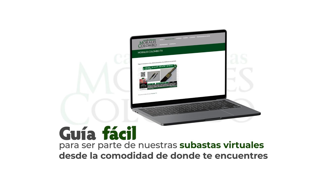 Gu&iacute;a en 4 pasos para subastas virtuales - Morales Colomo