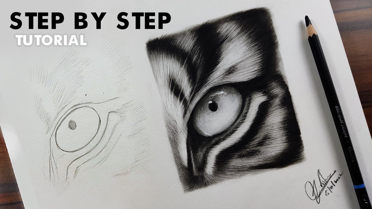 How to draw a Tiger's eye - step by step tutorial