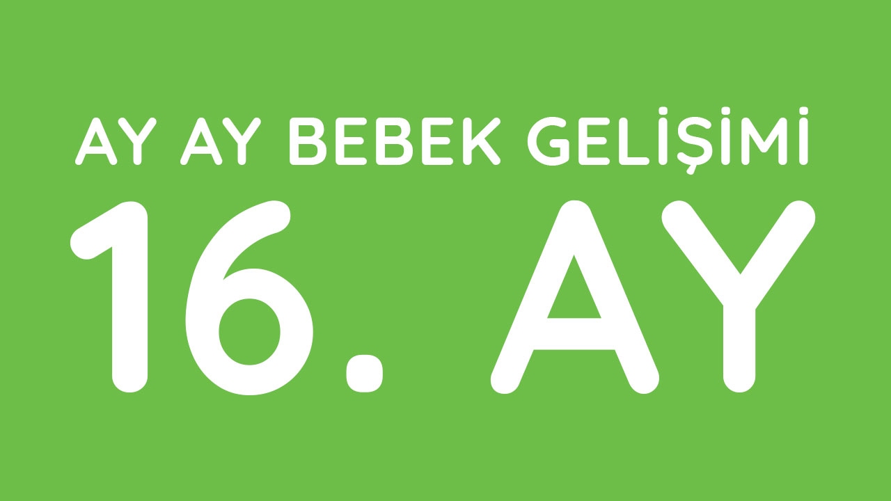 16 Aylık Bebek Gelişimi