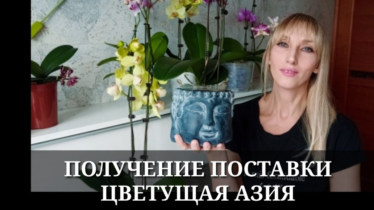 ПОЛУЧЕНИЕ ПОСТАВКИ / ЦВЕТУЩАЯ АЗИЯ март 2022