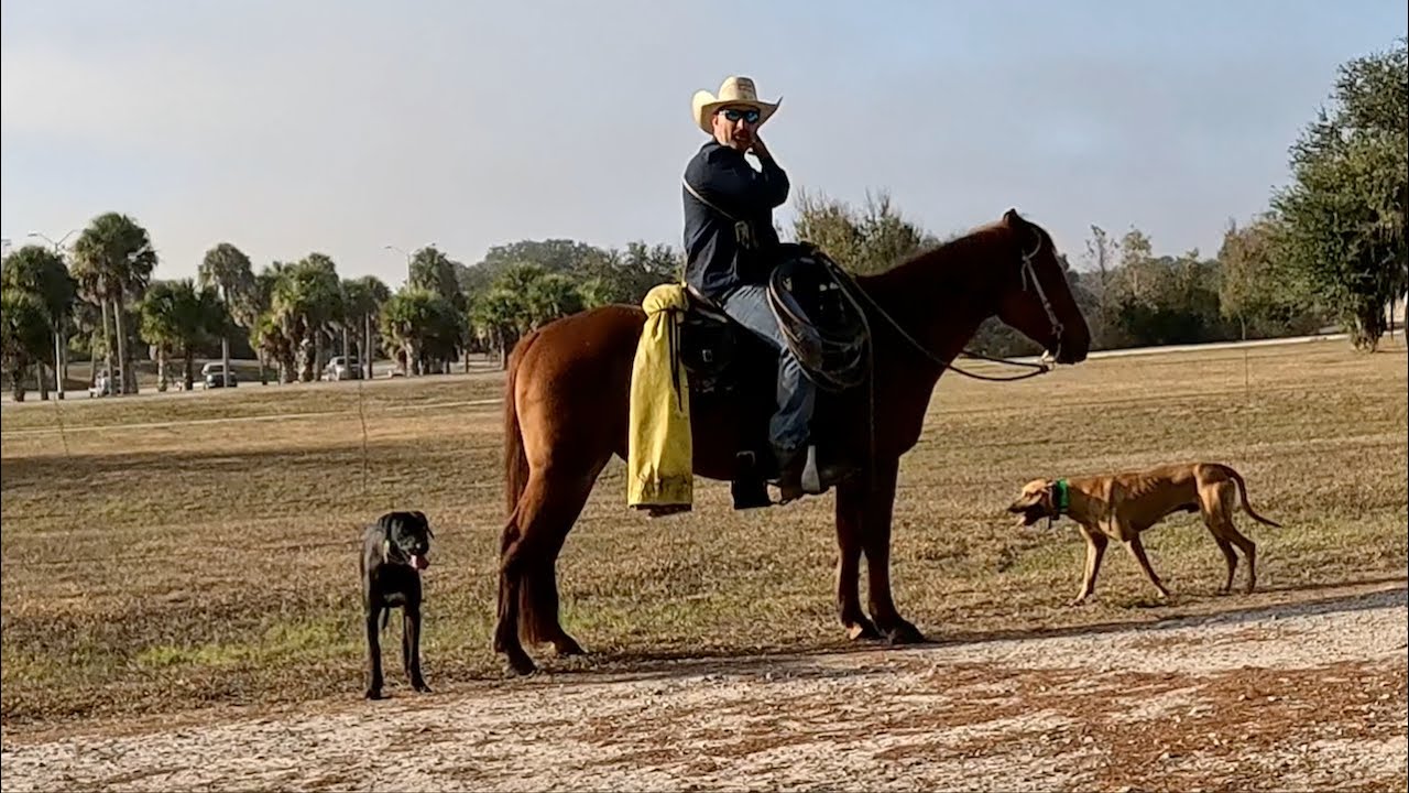 Old Florida Still Exists | Camping & Airboating the Kissimmee River | A Cowboy and His Dogs