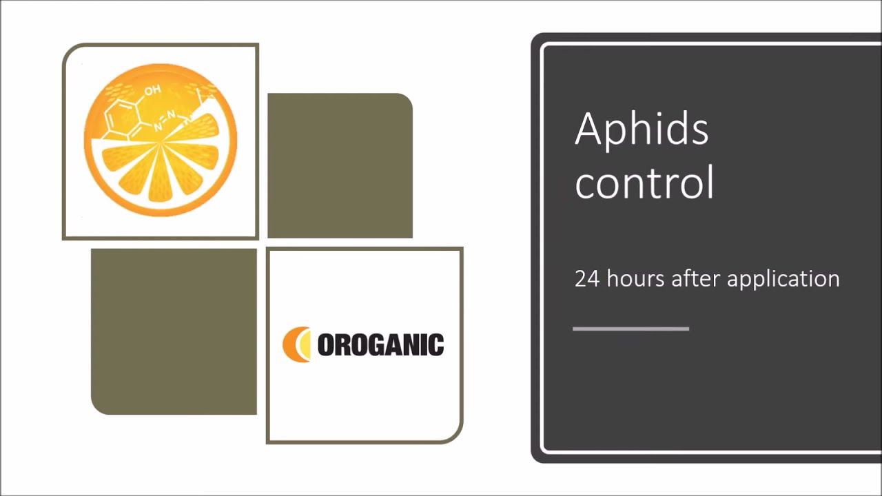 OROGANIC MOVIE - mealybug, aphids, whitefly control
