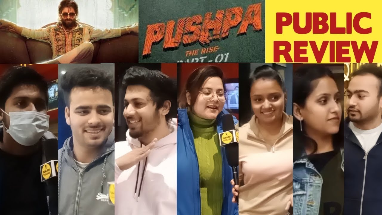 Pushpa: The Rise Public  Review | Pushpa Public Reaction | Allu Arjun | Rashmika Mandanna | Punjabi