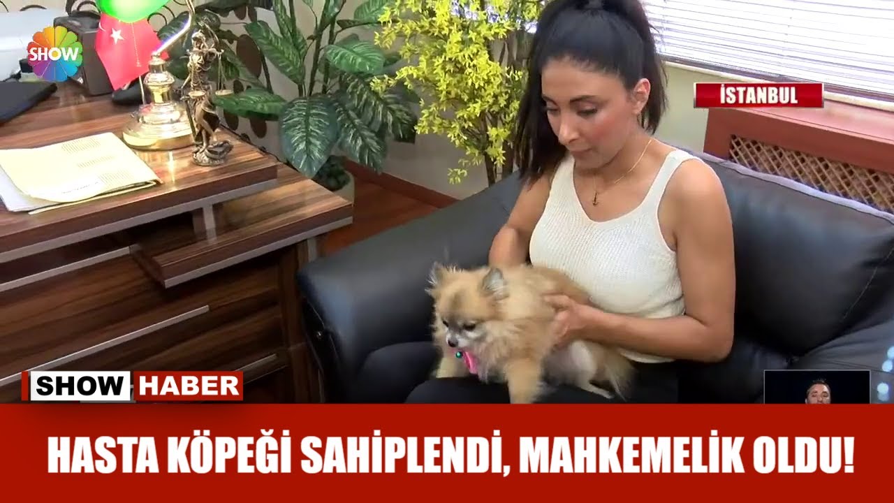 Hasta köpeği sahiplendi, mahkemelik oldu!