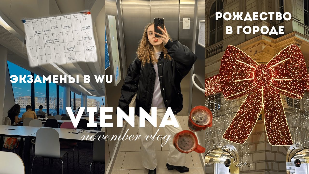 ноябрь в Вене | экзамены в WU, рождество в городе и мысли о магистратуре