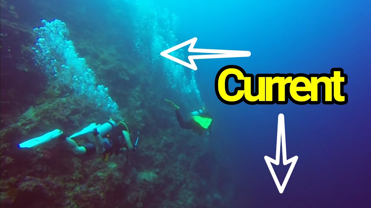 필리핀 세부 스쿠버 다이빙 막탄 마리곤돈의 어머어머한 역조류 하강조류 Diving against strong counter down current marigondon Cebu