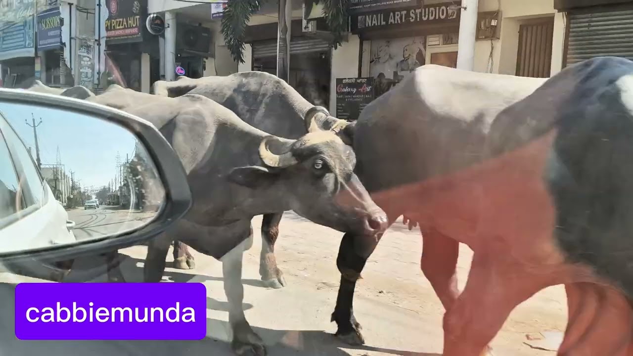 AJJ HOYA THORA KUM , DOBARA AYE ACHIEVEMENT 