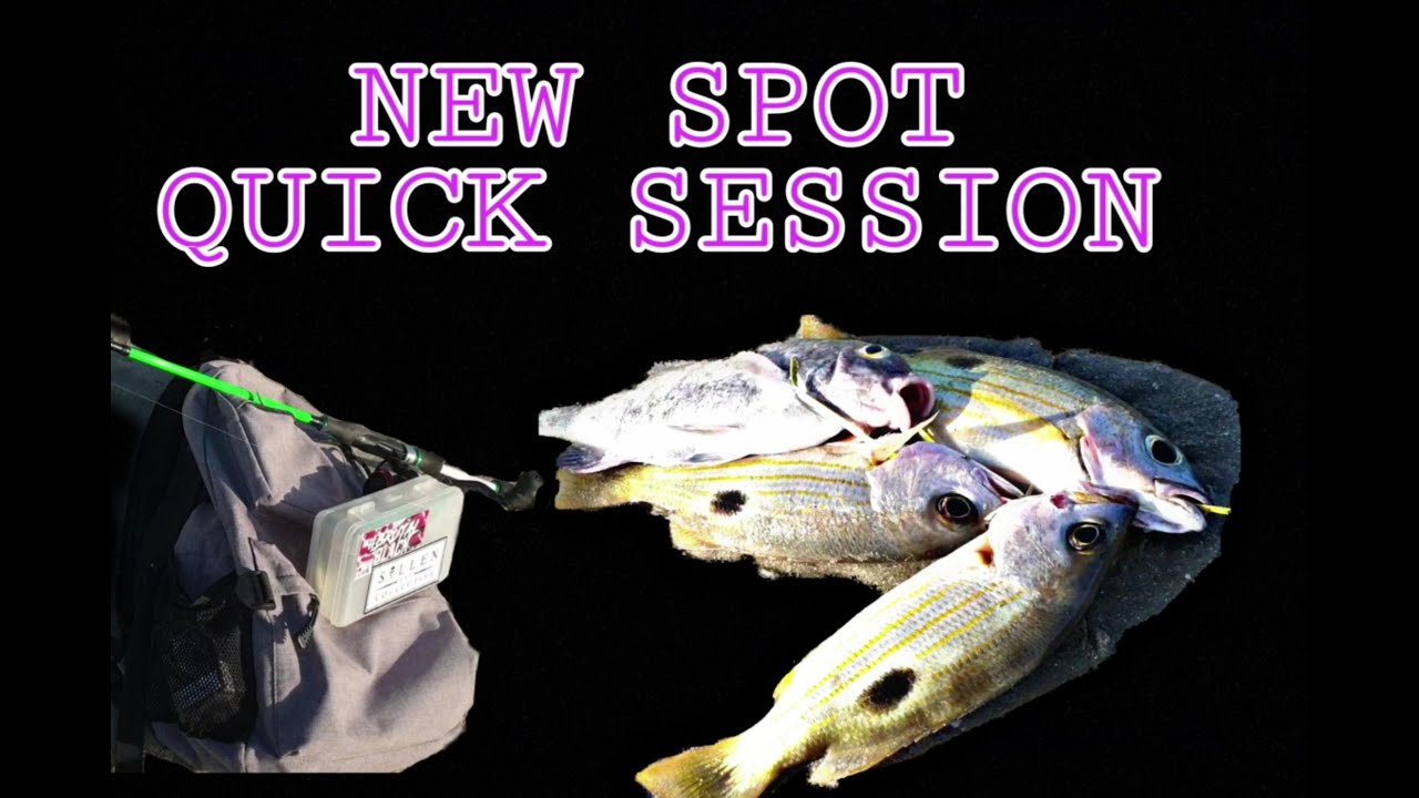 FINDING NEW FISHING SPOT / QUICK FISHING / CASTING /JIGGING / ULTRALIGHT
