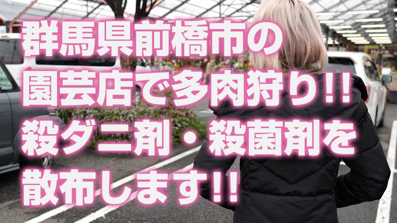 【多肉植物】群馬県前橋市の園芸店で多肉狩り!!殺ダニ剤・殺菌剤を散布します!!【succulent】トロピカルガーデン