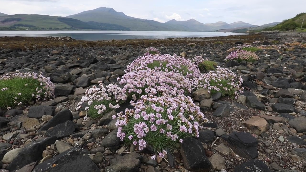 The sounds of Mull - an immersive audio journey