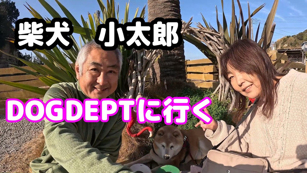 【THE DOGDEPT GARDEN RESORT-南房総-】ワン仔連れには、天国。正月から、贅沢キャンプ。