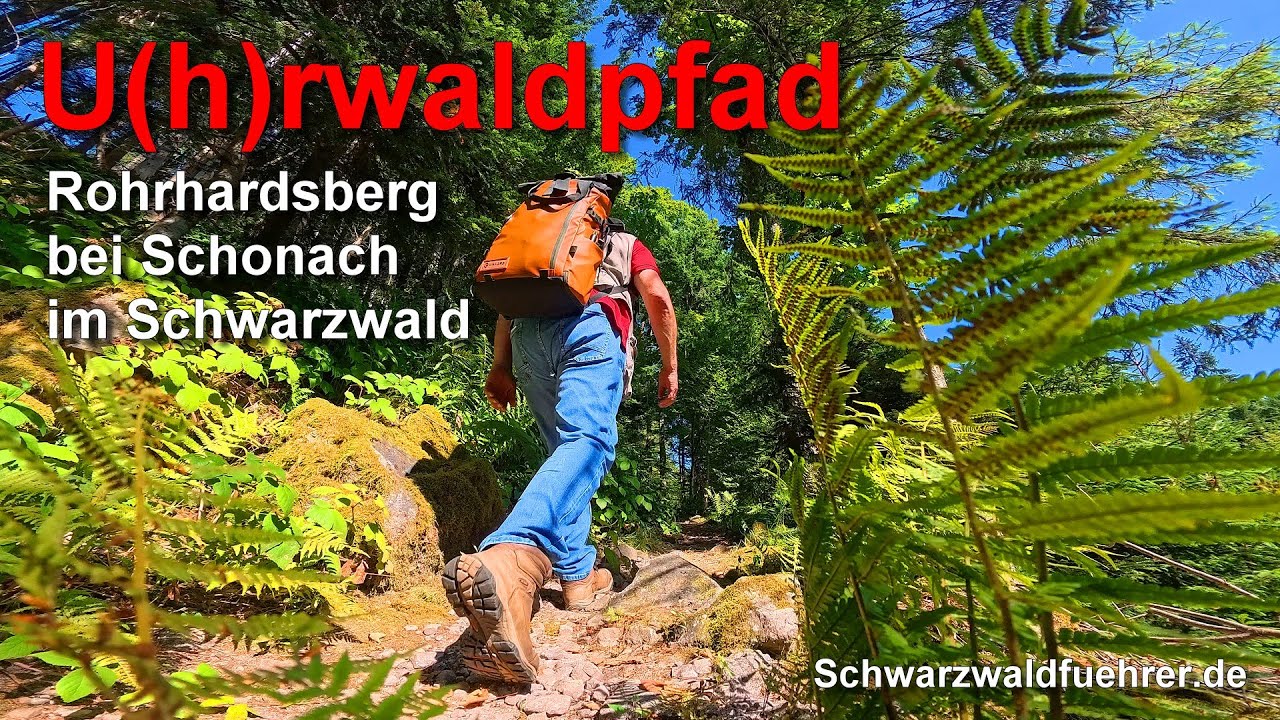 U(h)rwaldpfad Rohrhardsberg bei Schonach im Schwarzwald