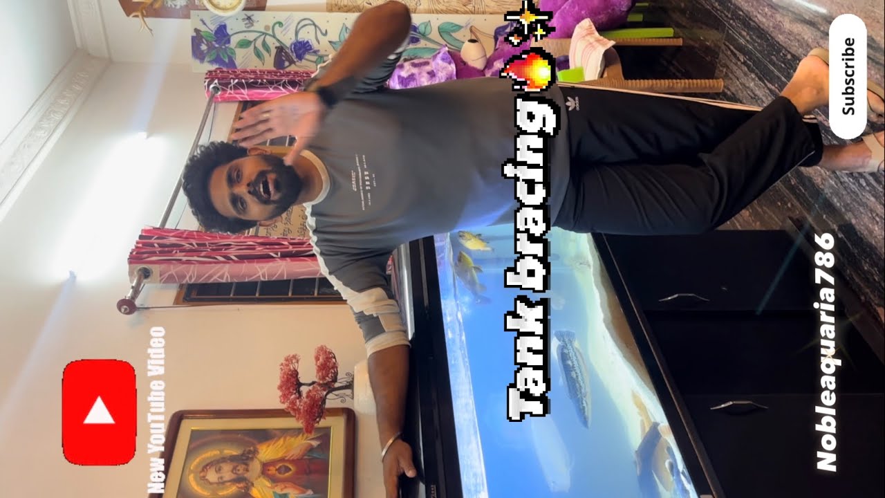 Tank Bracing 💥⚠️🔥 Monster Fish feeding carnage#