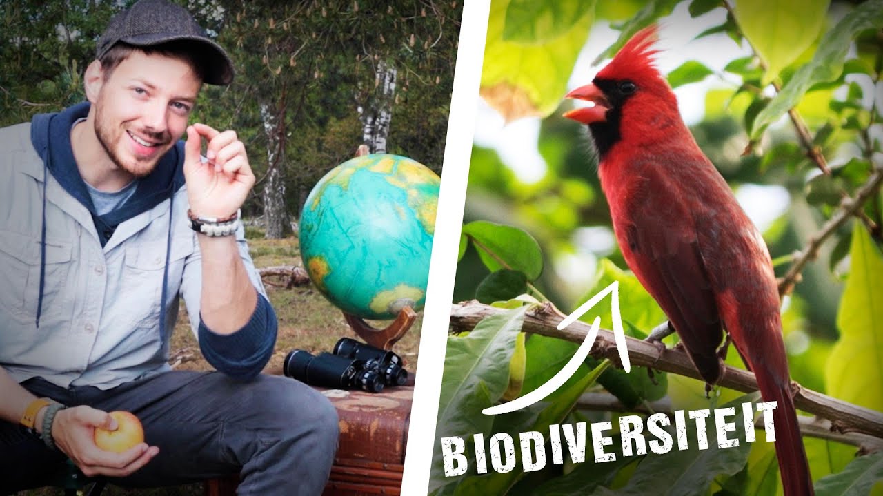 WAT IS BIODIVERSITEIT? Basisstof Biologie HAVO / VWO