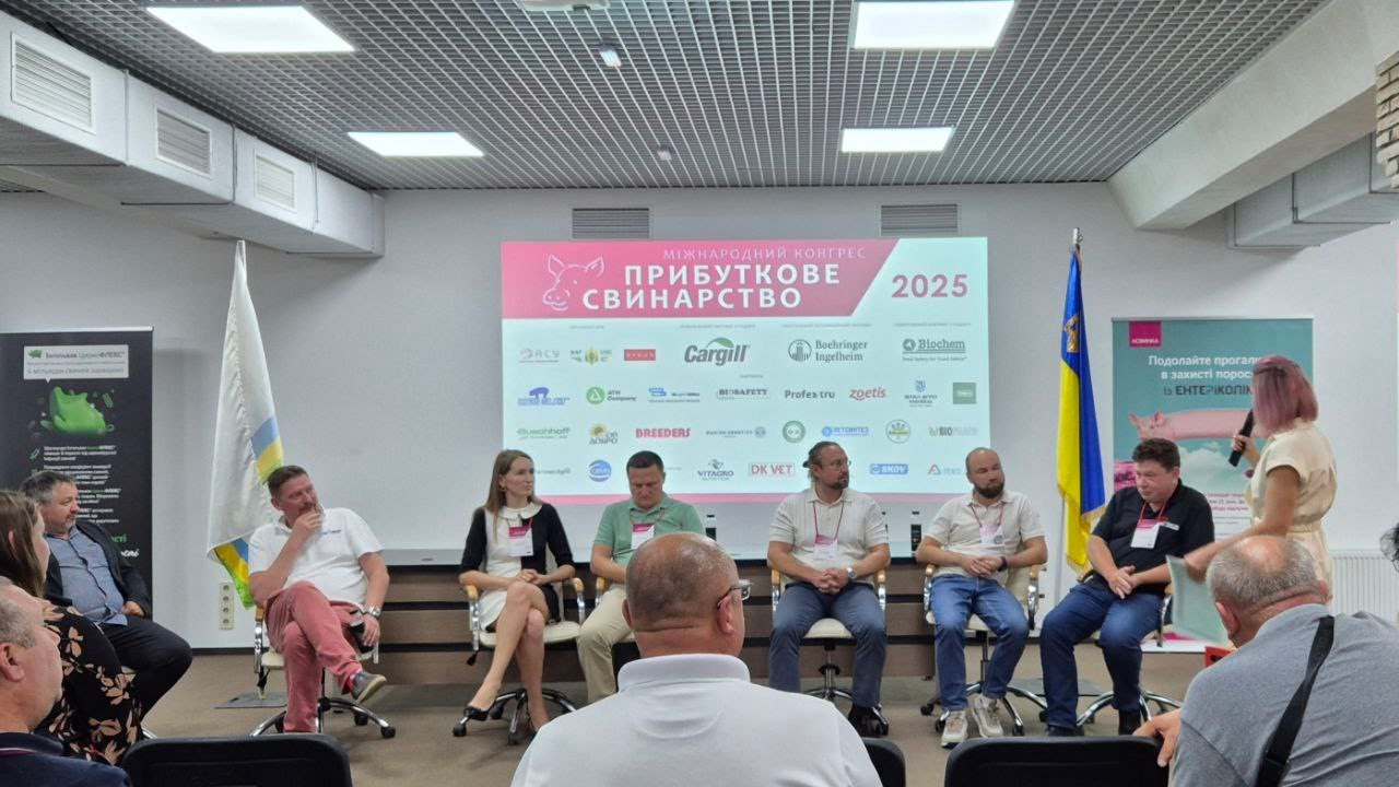 Міжнародний конгрес 