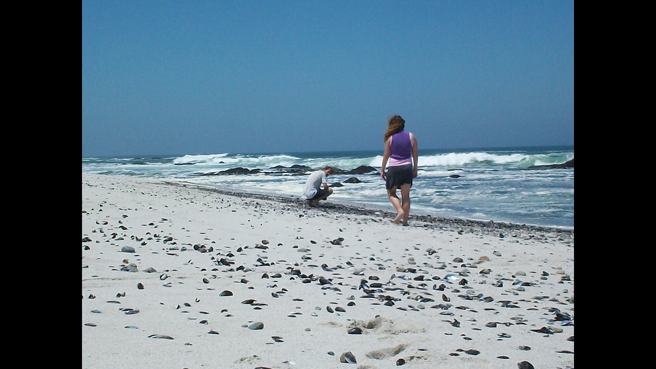 Yzerfontein getaway December 2010