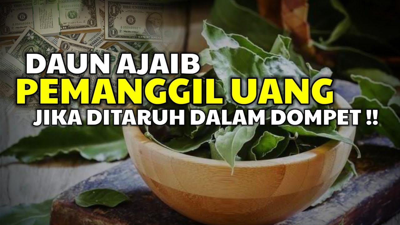 Segera Cari Daun Ajaib ini... 6 DAUN PENARIK REZEKI DAN PEMBAWA KEBERUNTUNGAN JIKA DITARUH DI DOMPET