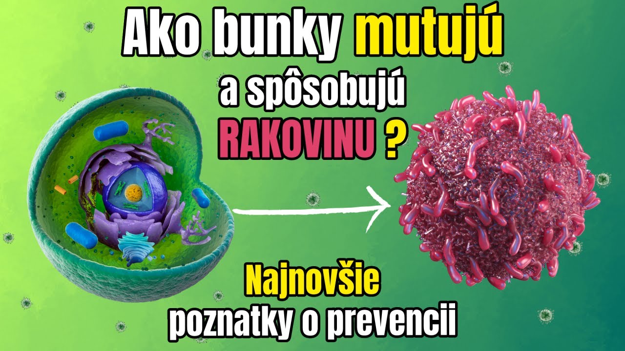 Rakovina z pohľadu bunky: Odhalenie tajomstva života buniek a ako ich chrániť