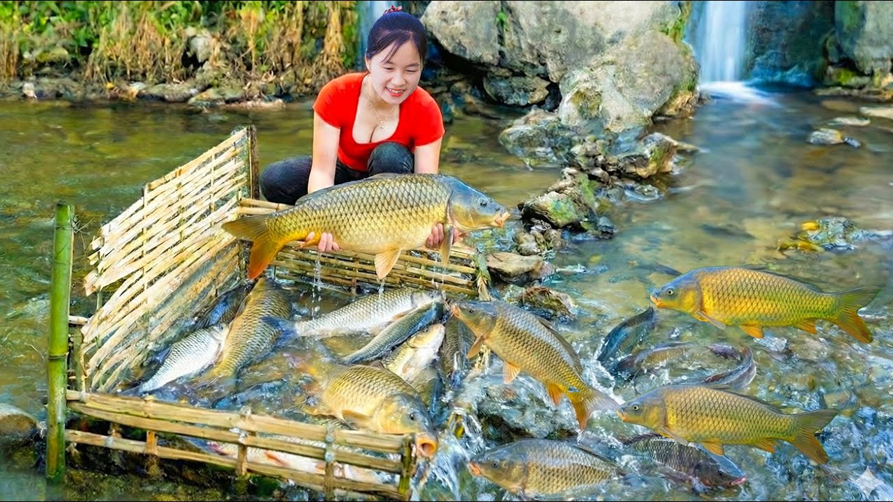 Fishsing trap setting Skills fish to harvest 200kg of stream fish & selling at the Local Market