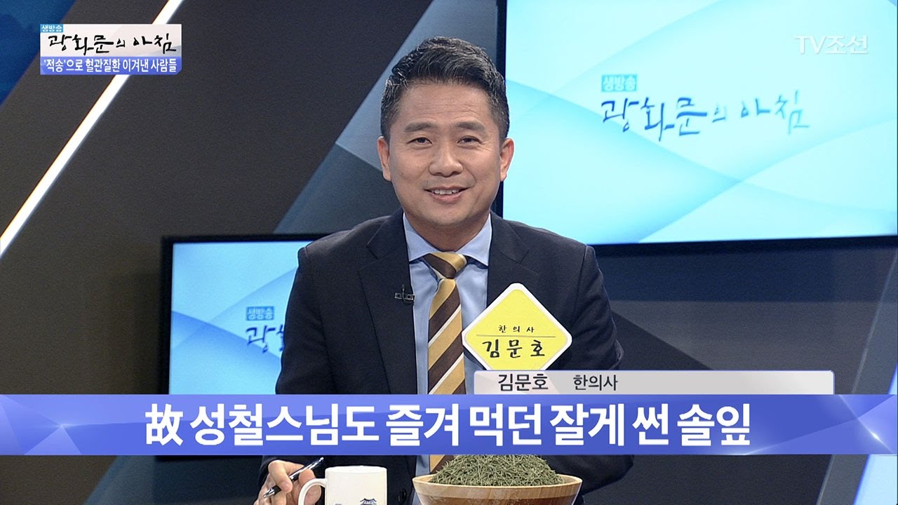 적송 솔잎기름 송침유의 혈행순환 효능 [광화문의 아침] 469회 20170424