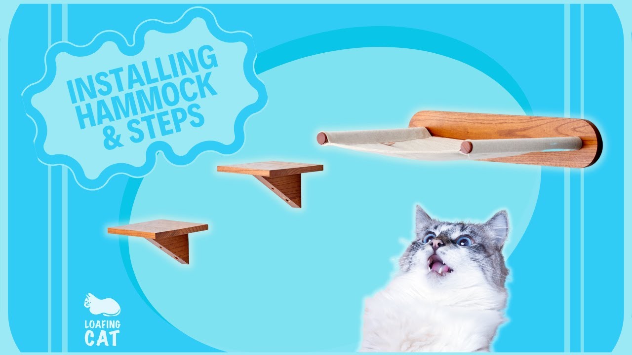 How to Install the Loafing Cat Wall Mounted Hammock & Steps