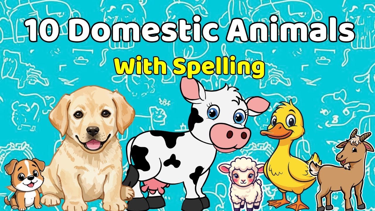 10 Domestic Animals Name 🐶🐱 |  Learn Animal Names for Kids