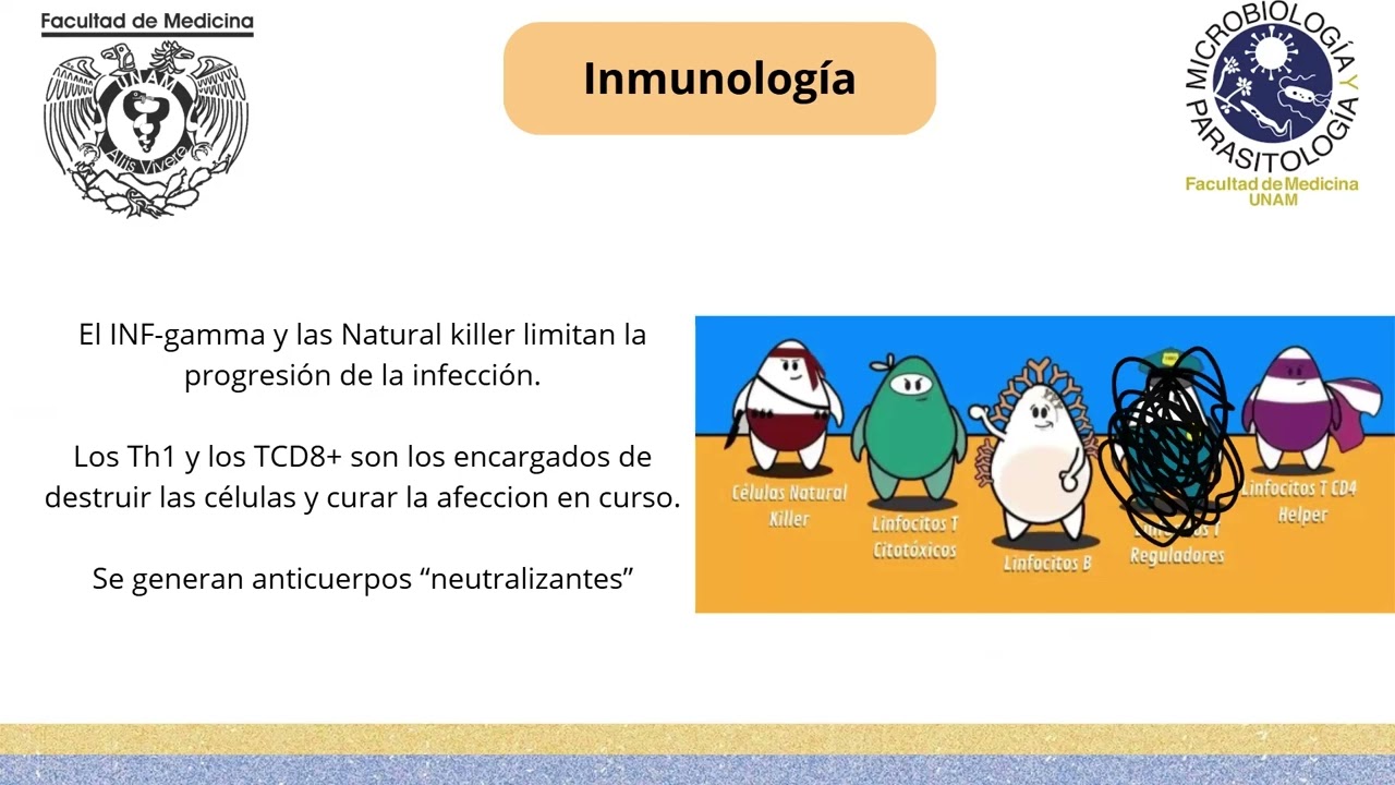 Virus de la familia de Herpes