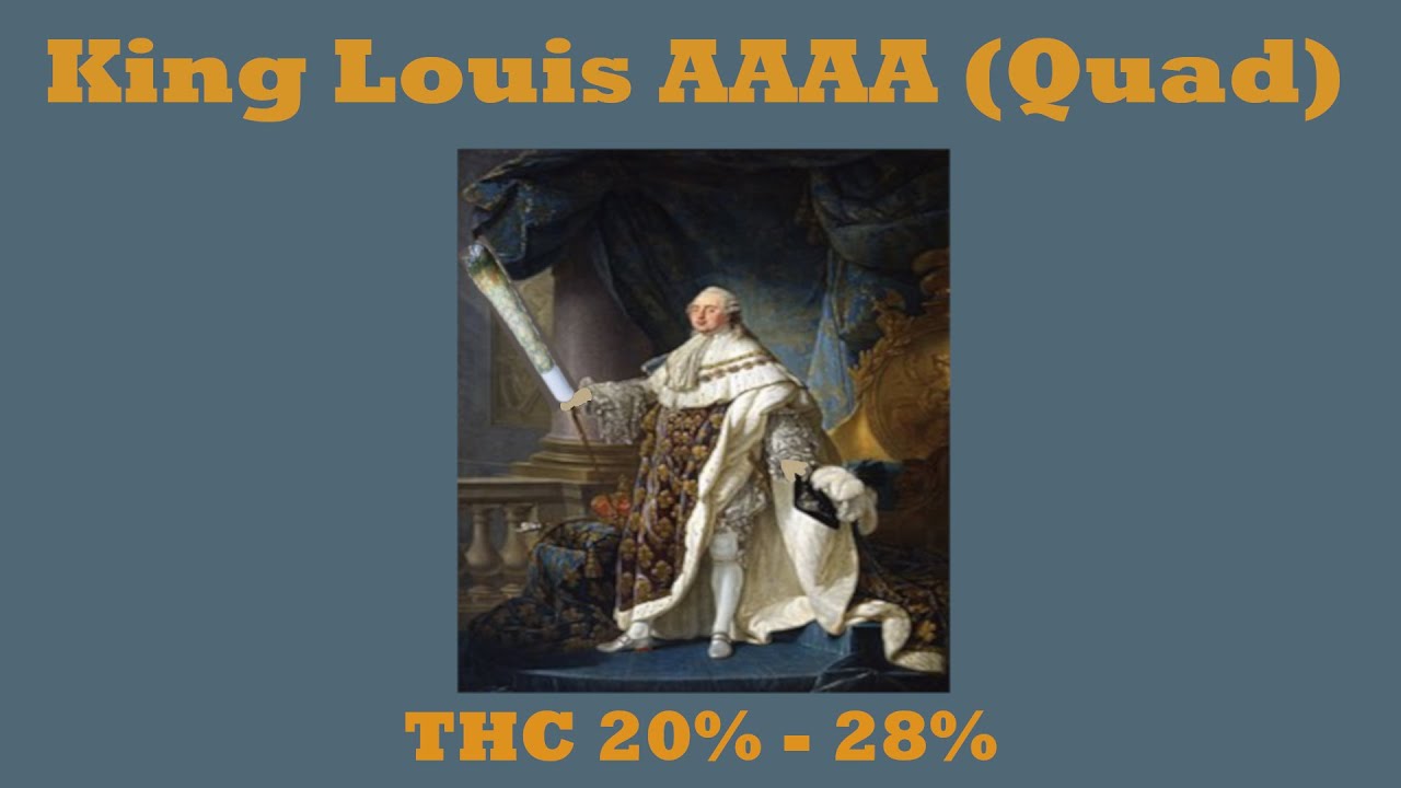 King Louis AAAA (Quad) THC 20% - 28% Strain Views--TheKushCrib.com -- #tkc #weed #strainview