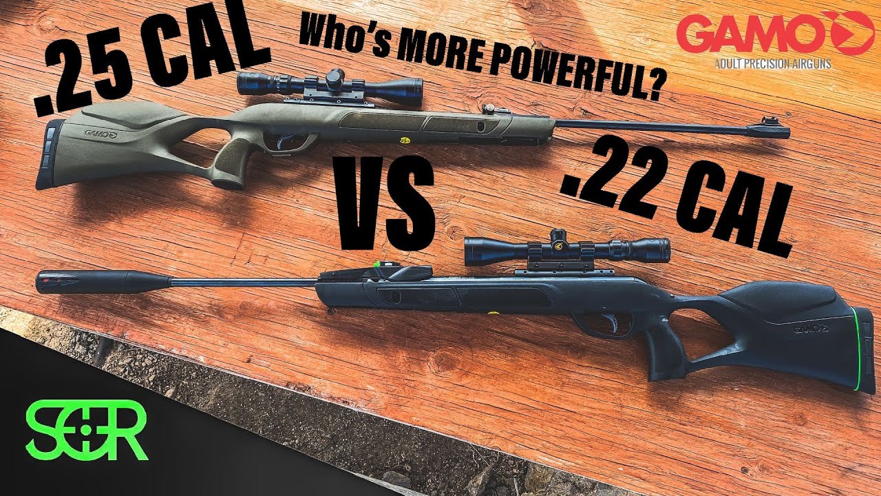 Gamo Magnum .22 против .25 — КАКОЙ МОЩНЕЕ?!
