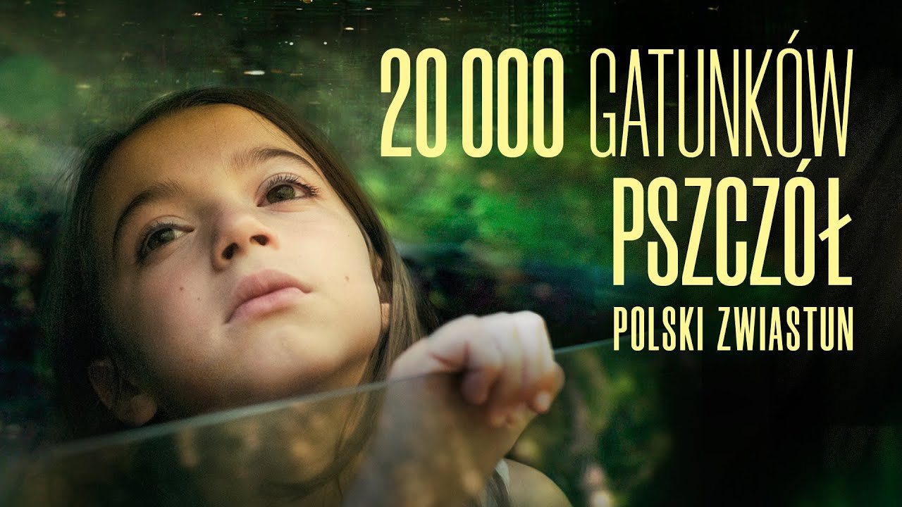 20 000 gatunk&oacute;w pszcz&oacute;ł (2023) zwiastun PL, już na VOD