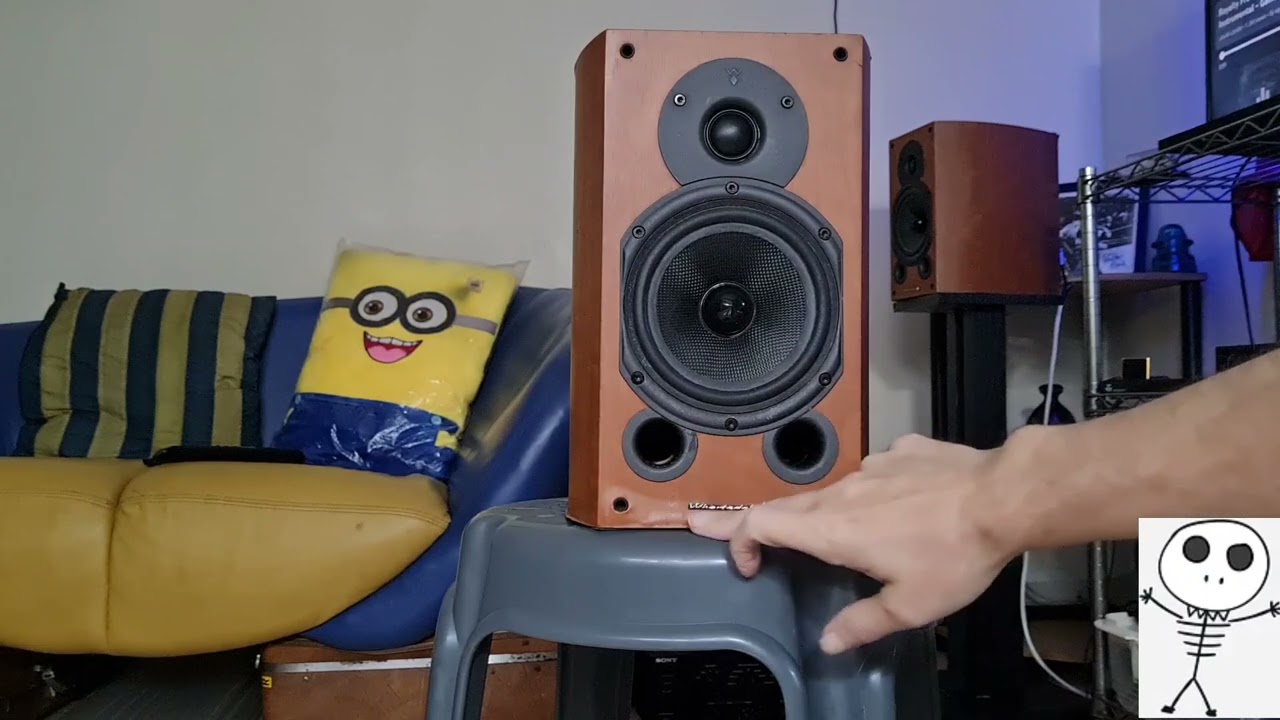 Wharfedale Diamond 9.1 poormans B&W speakers..part 1
