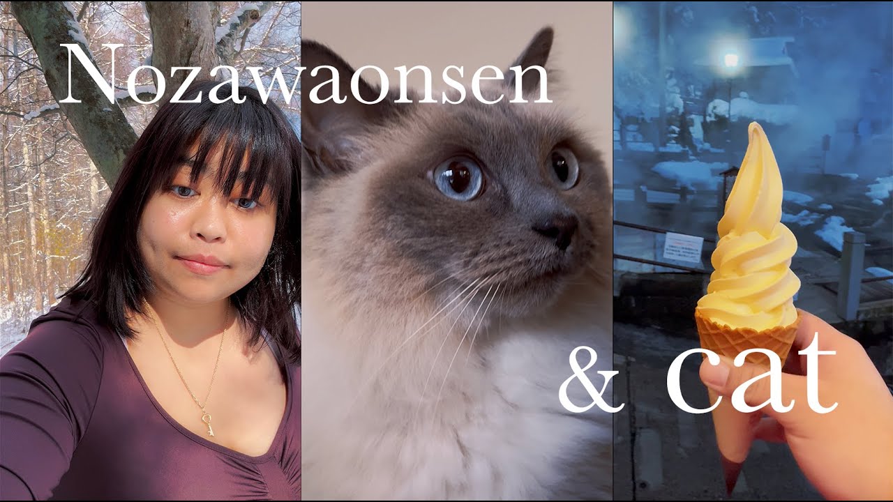Introvert's first Winter Cabin Trip~ Japanese Onsen Town and days with the prettiest cat