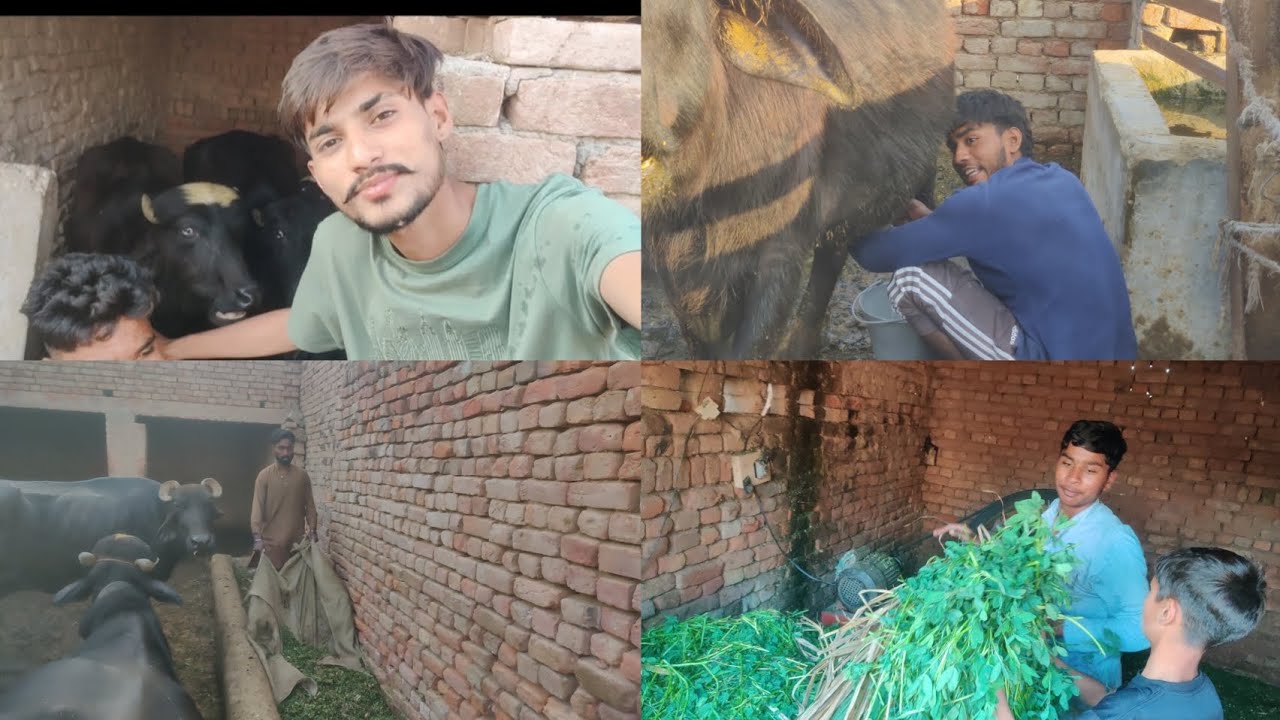 Finally mane vlog start kar diye hai guys kesa Laga Mera vlog command me lazmi batye ga #vlog