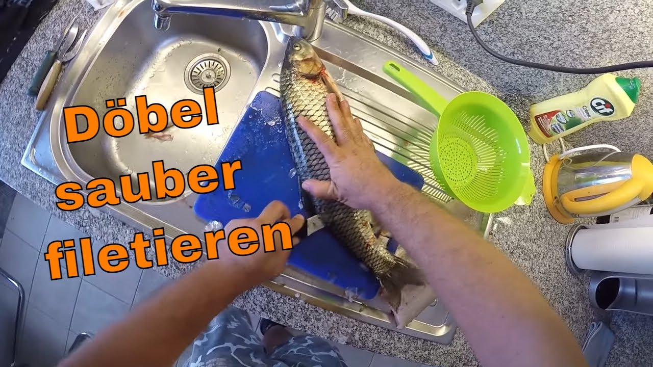 Döbel filetieren Anleitung