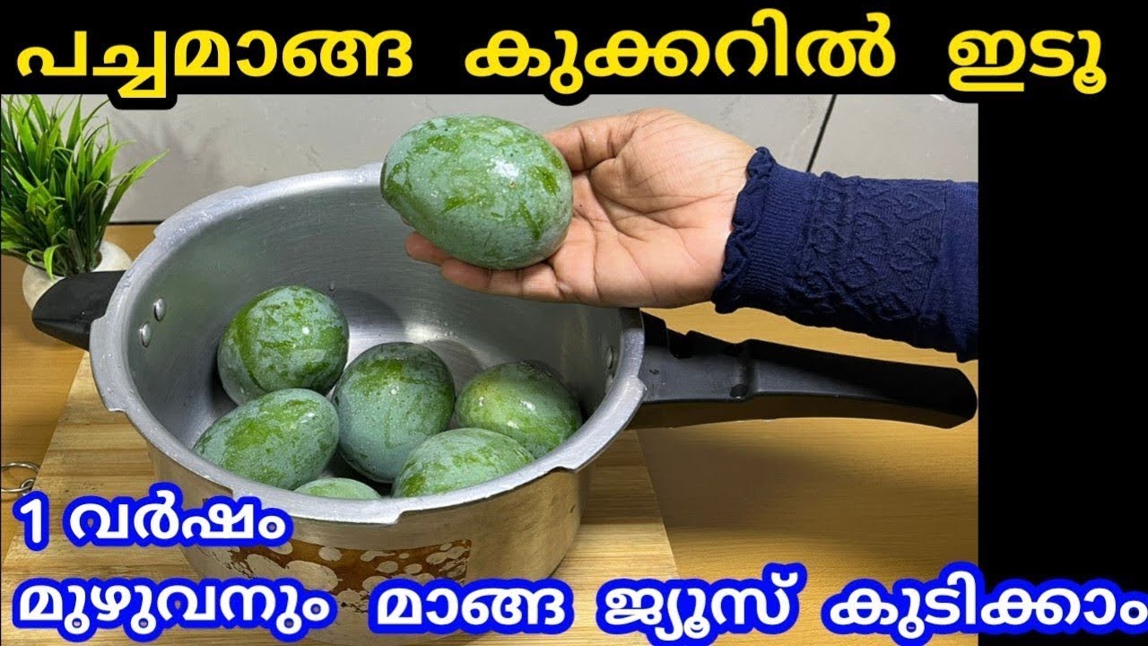 പച്ചമാങ്ങ കുക്കറിൽ ഇടൂ വർഷങ്ങളോളം മാങ്ങ ജ്യൂസ് ഇഷ്ടം പോലെ കുടിക്കാം #manga